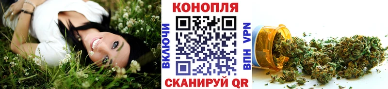 Купить закладки  Кондопога  Шишки марихуана OG Kush 